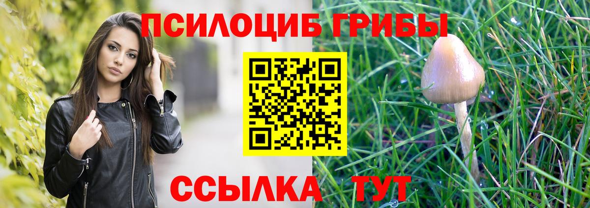 Псилоцибиновые грибы Magic Shrooms Чебаркуль