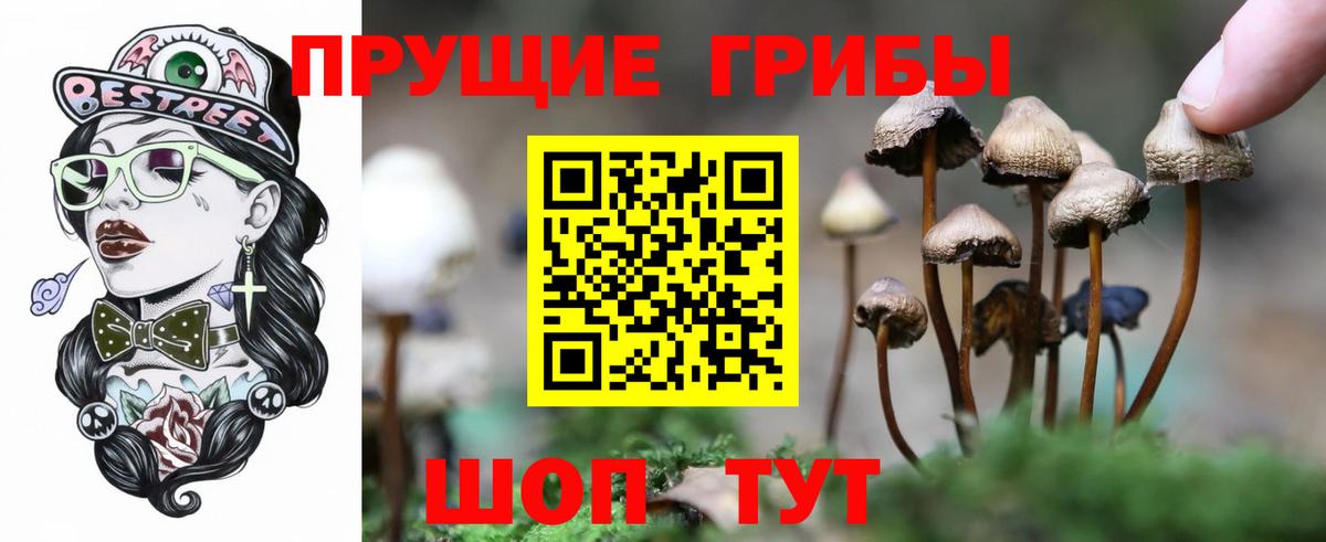 Галлюциногенные грибы Magic Shrooms  как найти закладки  Чебаркуль  Вход с VPN 